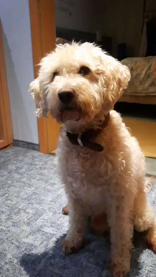 aktuelles Foto Gruppe Schnüffel & Kopfarbeit Ideen