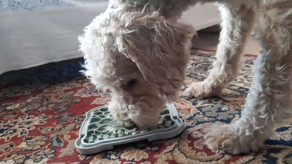 Zeigt her Eure Futternäpfe-Beitrag-Bild