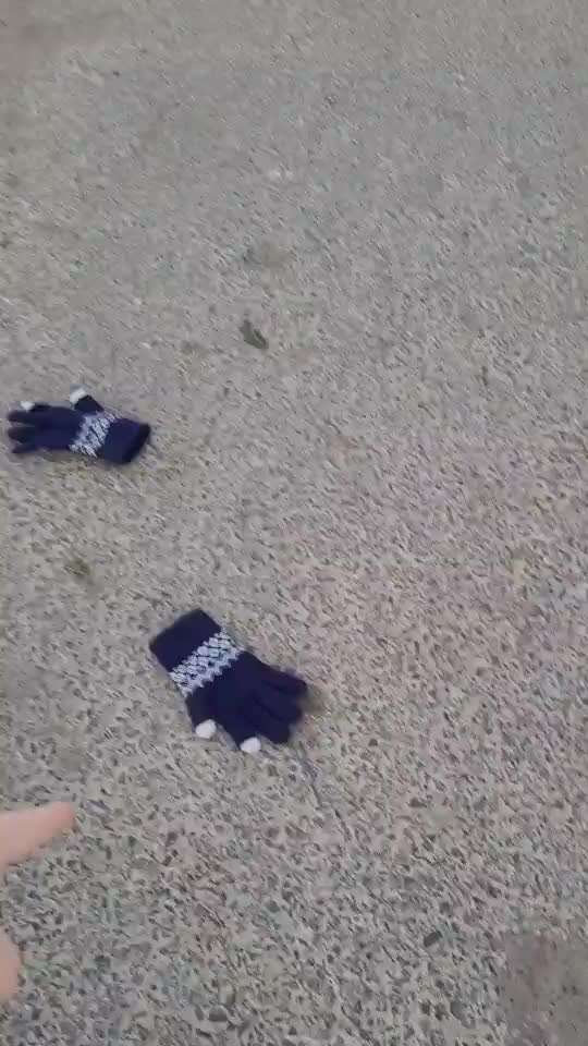 aktuelles Foto Gruppe Trickkiste