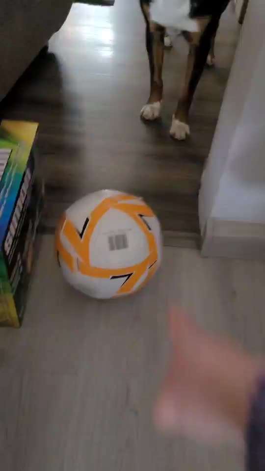 aktuelles Foto Gruppe Trickkiste