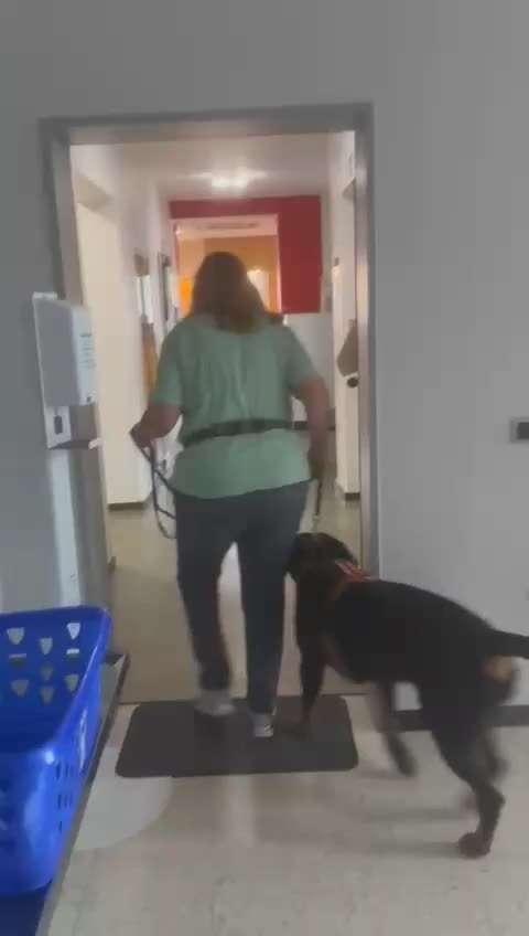 Gangbild/-analyse-Beitrag-Bild