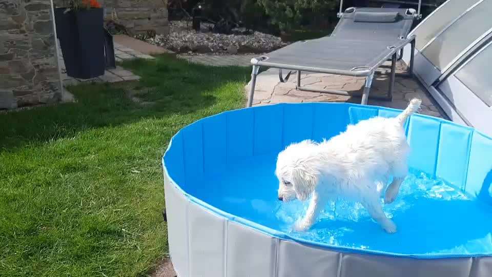 Handy Video Challenge Nr. 31: Wasser-Beitrag-Bild