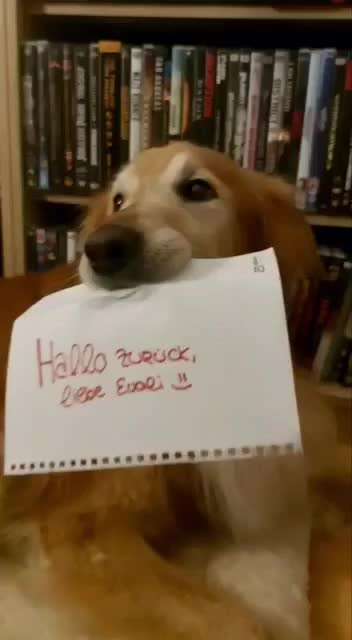 Trick Challenge 13 - Etwas Halten-Beitrag-Bild