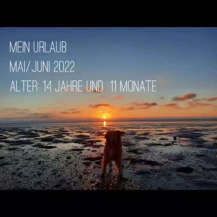 Bright side of life! Schönwetter-Thread-Beitrag-Bild