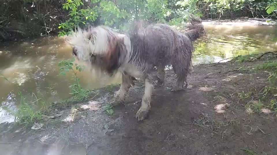 42. Handy Video Challenge-Beitrag-Bild