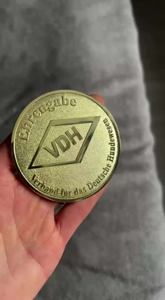 Die 21. Rostocker Rassehunde-Ausstellung: Eine Veranstaltung mit Vorbehalten?-Beitrag-Bild