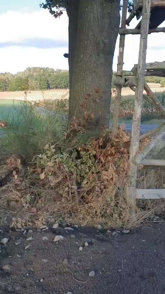 Was hat euch heute genervt?-Beitrag-Bild