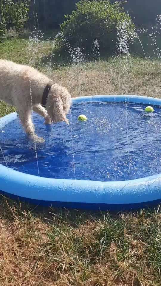 44. Video Challenge - Spielen mit dem Lieblingsspielzeug-Beitrag-Bild