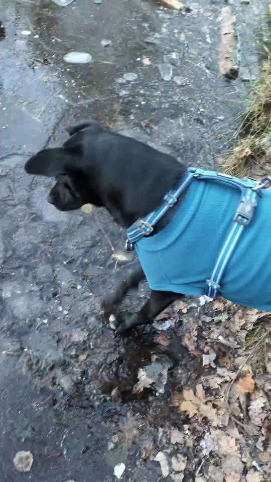 Was hat euch heute gefreut?-Beitrag-Bild