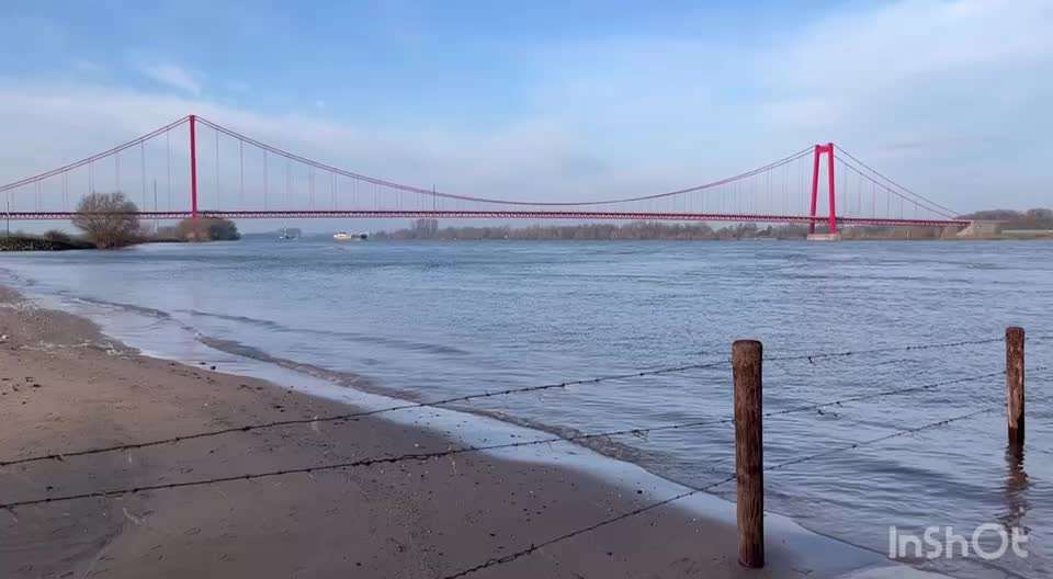 Action-Fun Hund- Aventskalender-Beitrag-Bild