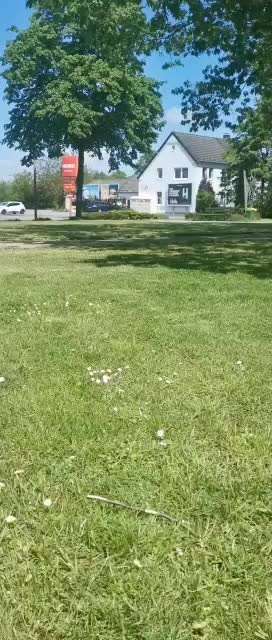 Hier ist der Spaßthread. Zum Schmunzeln und Kaputtlachen-Beitrag-Bild