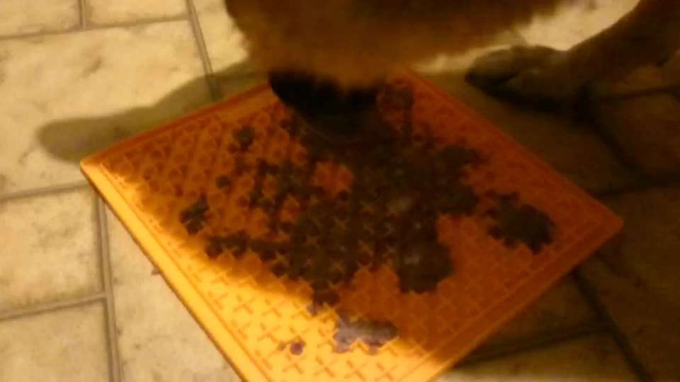 Kong Alternativen - Tipps gesucht-Beitrag-Bild