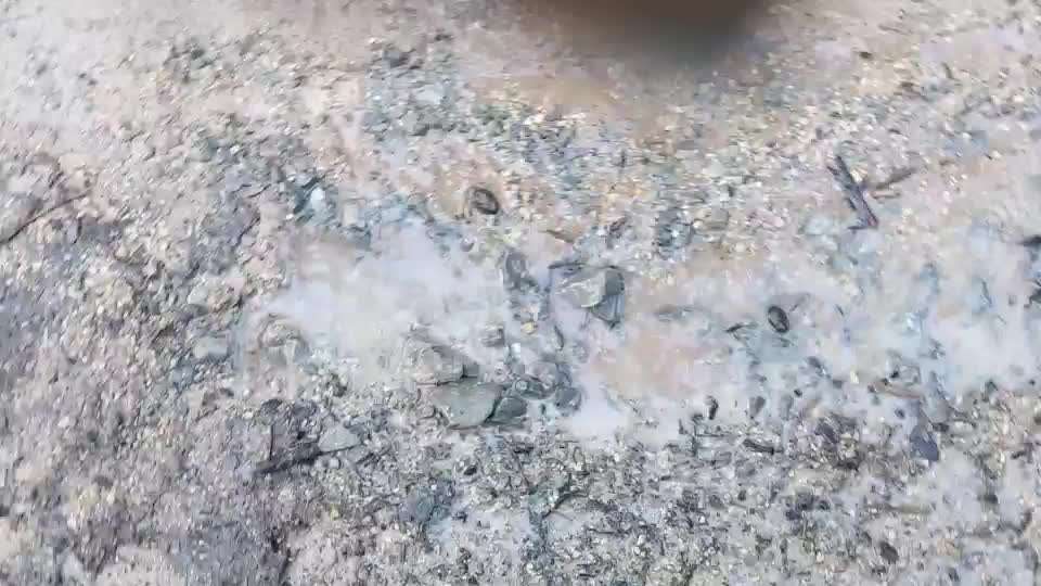 Die wunderschöne Welt mit Hund.-Beitrag-Bild