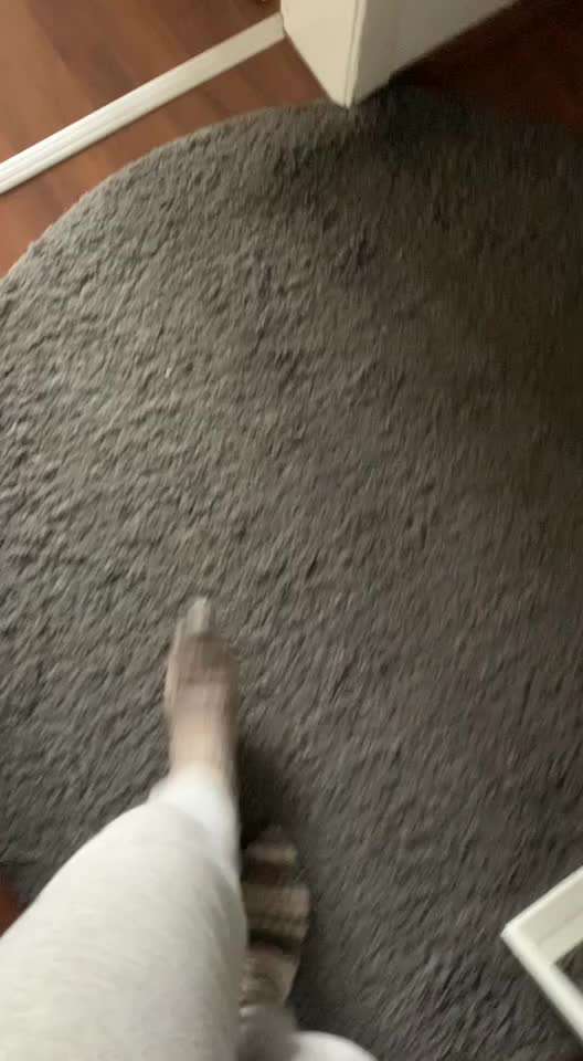 Rhodesian Ridgeback-Beitrag-Bild