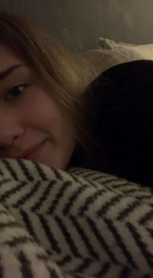 Rhodesian Ridgeback-Beitrag-Bild