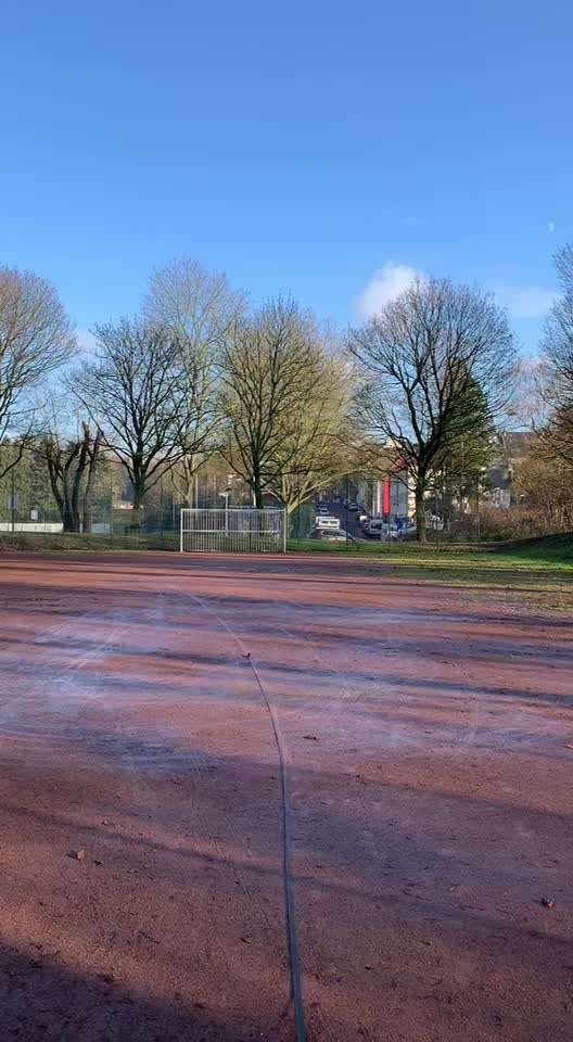 Rhodesian Ridgeback-Beitrag-Bild