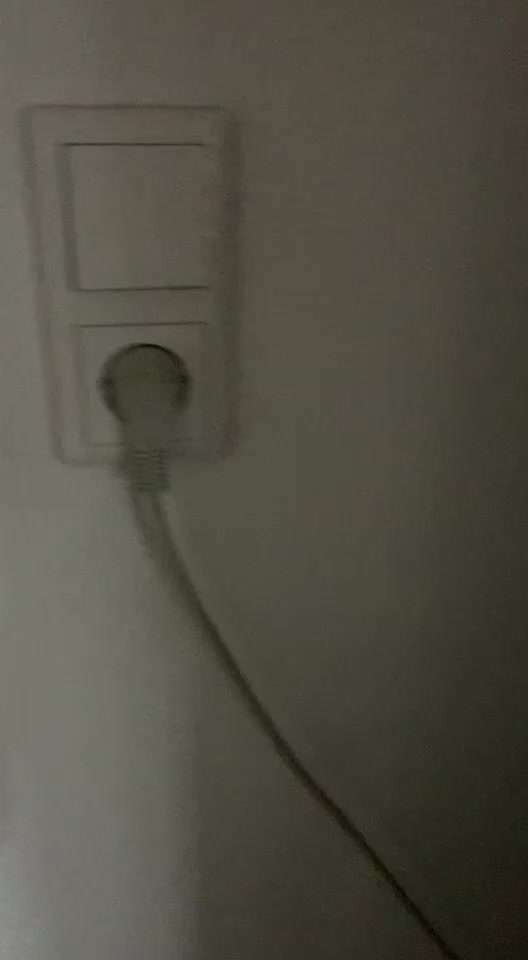 Rhodesian Ridgeback-Beitrag-Bild