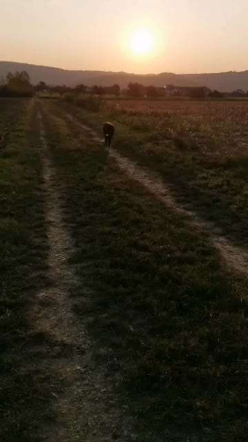 gründe stolz zu sein-Beitrag-Bild