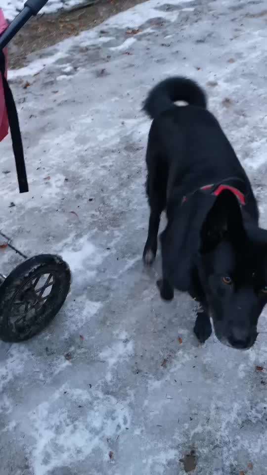 Resourcen verteidigen-Beitrag-Bild