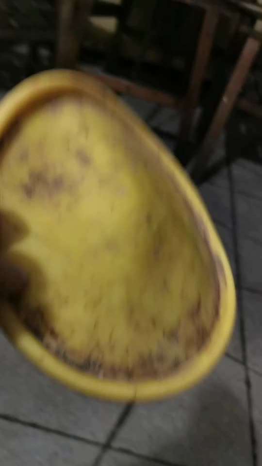 How to Dog-Frisbee?-Beitrag-Bild