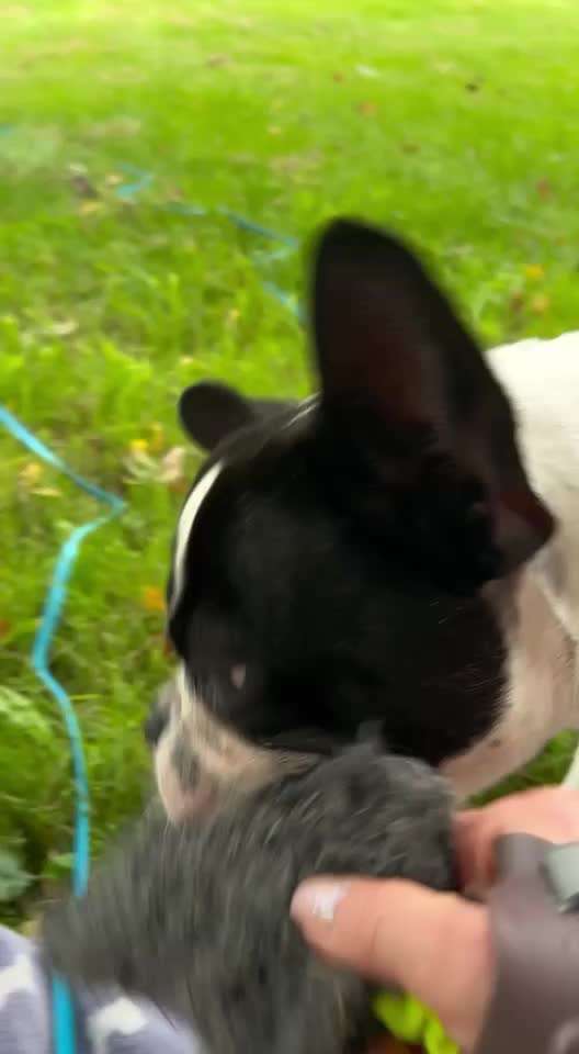 46. Video Challenge - Trainingserfolg-Beitrag-Bild