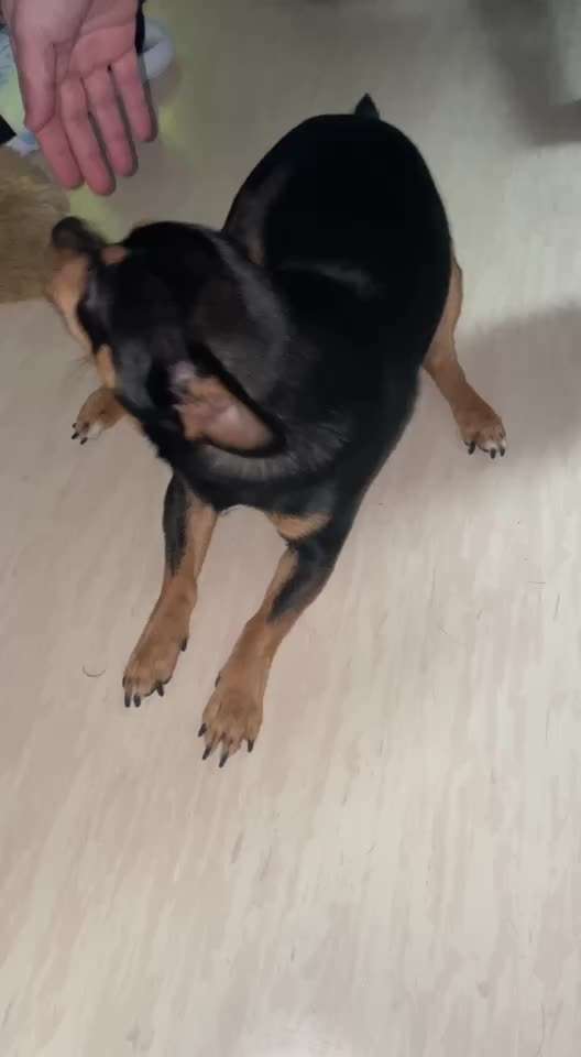 Jemand Erfahrung?-Beitrag-Bild