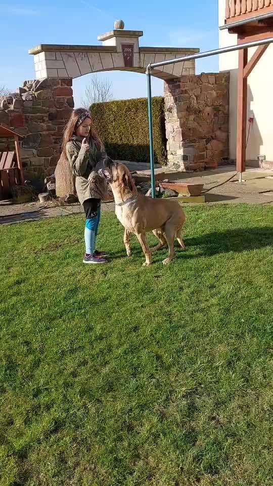 Hund knurrt Tochter (11) an-Beitrag-Bild