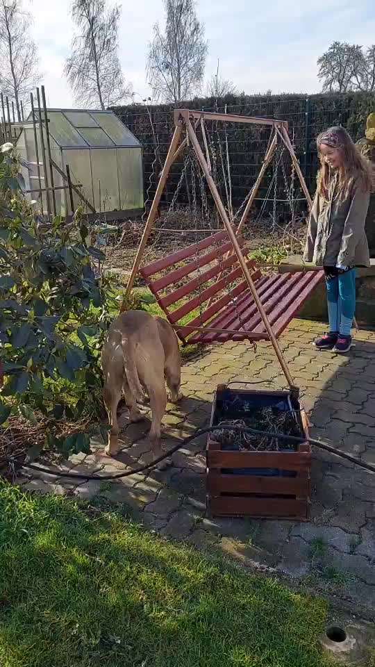 Hund knurrt Tochter (11) an-Beitrag-Bild