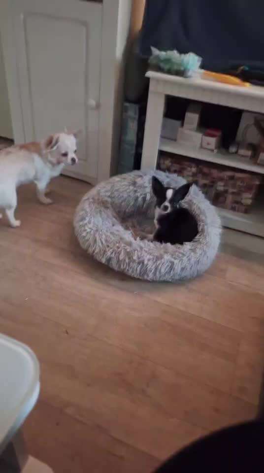 aktuelles Foto Gruppe Körpersprache lesen & verstehen