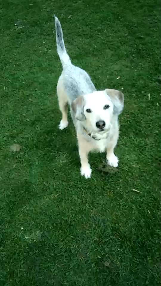 Trick Challange Nr 3-Beitrag-Bild