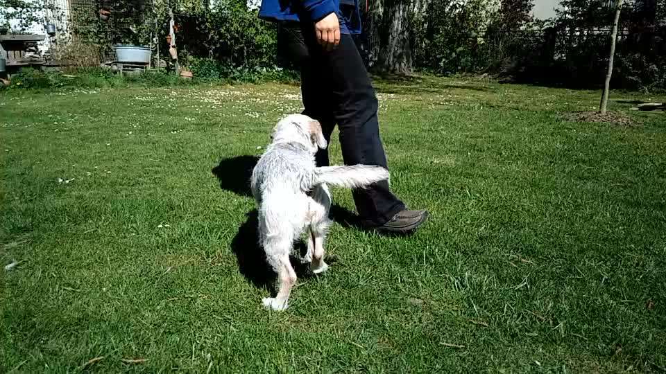 Trick Challenge Nr 6-Beitrag-Bild