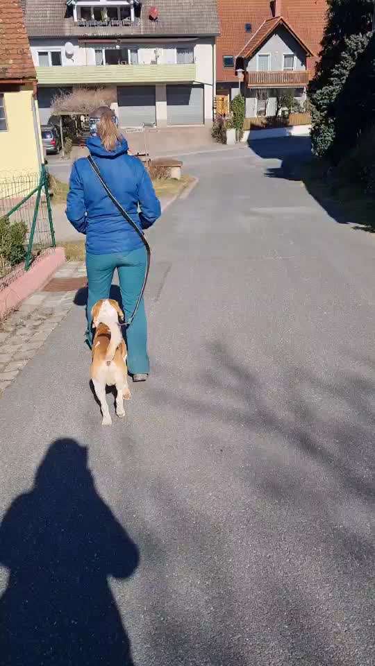 Zwischen den Beinen laufen-Beitrag-Bild