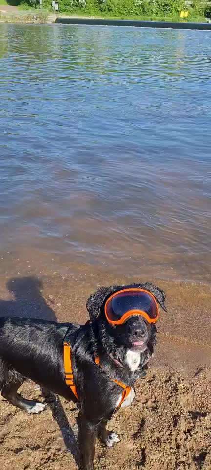 Schwimmen lernen-Beitrag-Bild