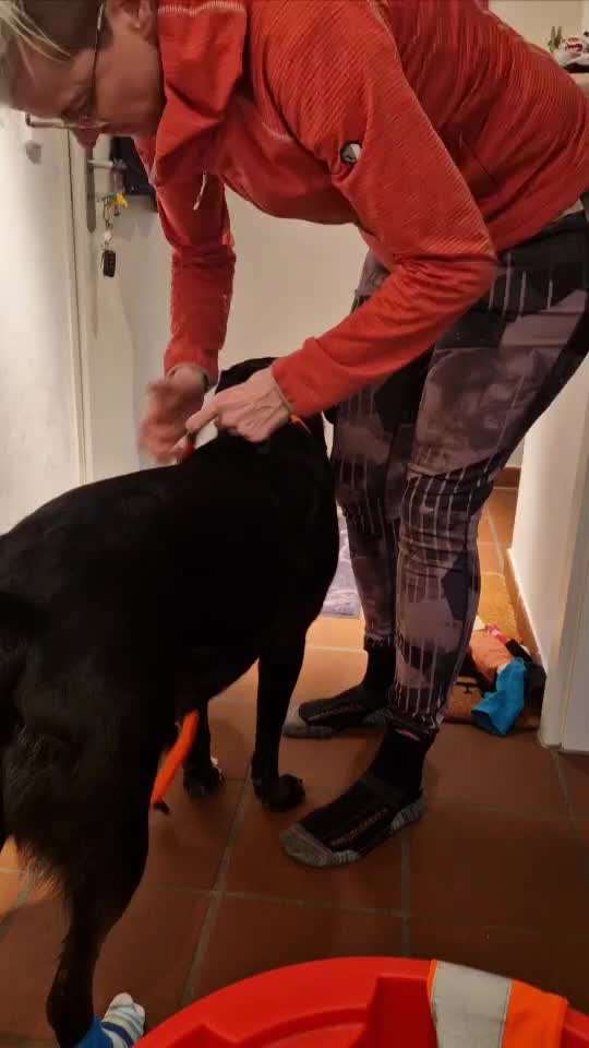 49. Impulskontrolle Challenge: Anziehen-Beitrag-Bild