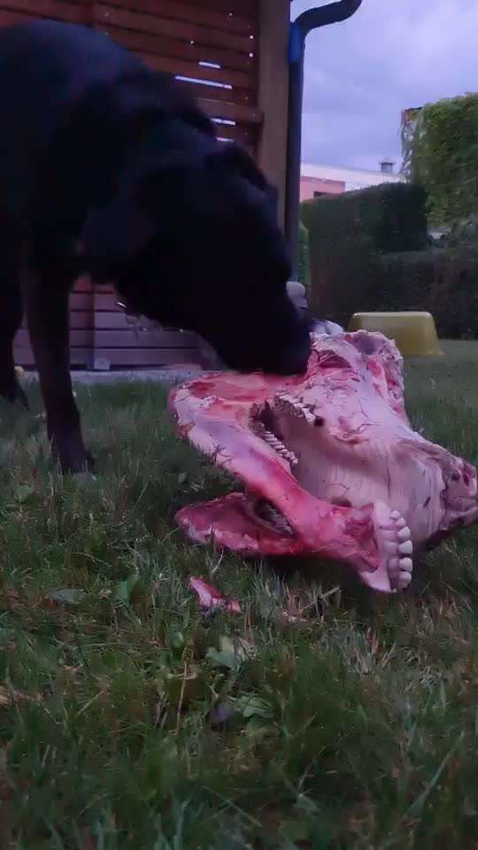 Video Challenge Nr. 4 - Lecker, Lecker-Beitrag-Bild