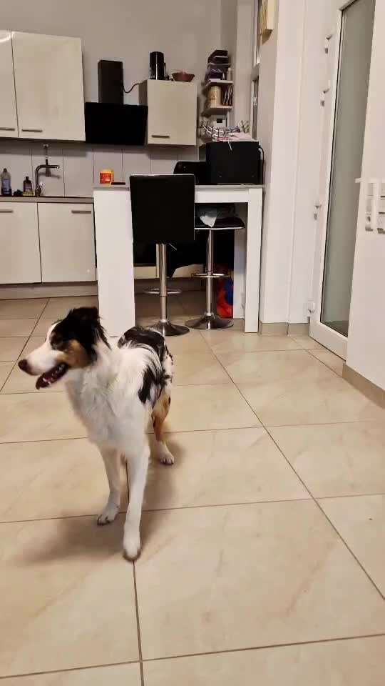 aktuelles Foto Gruppe Trickkiste