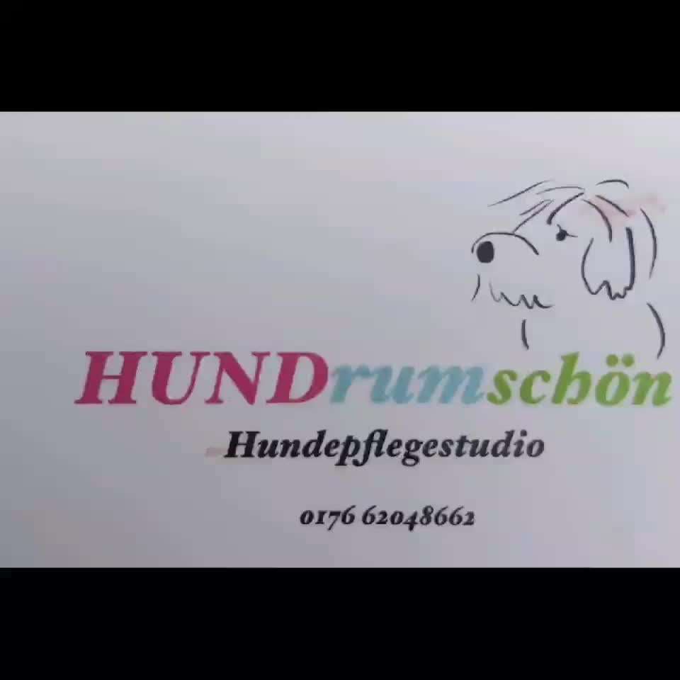 Enttäuschung beim Hundefrisör-Beitrag-Bild