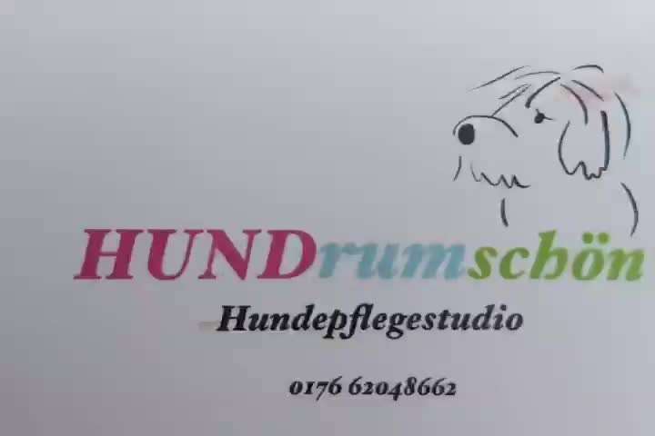 Enttäuschung beim Hundefrisör-Beitrag-Bild