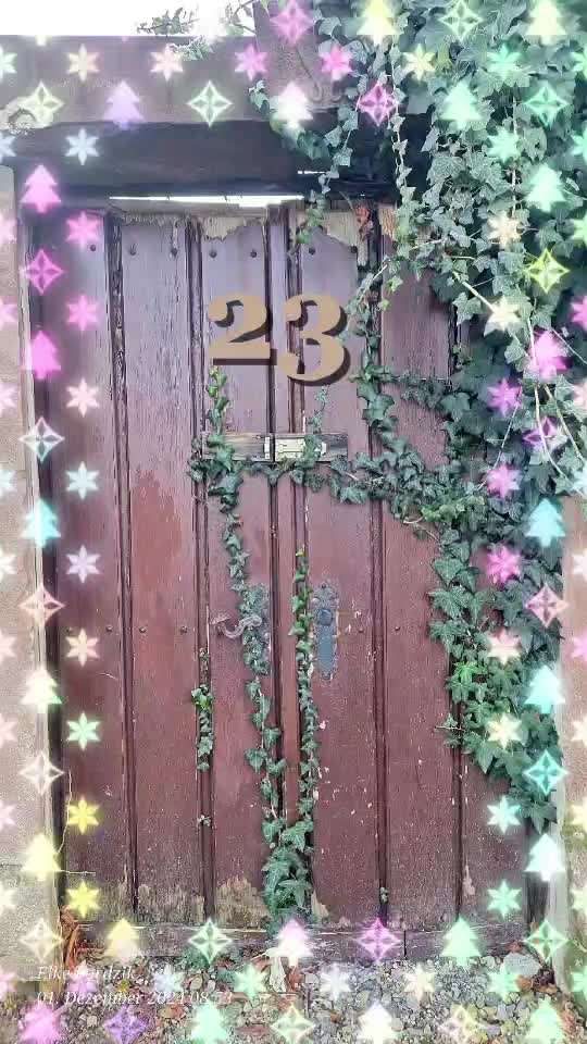 aktuelles Foto Gruppe Adventskalender 2024