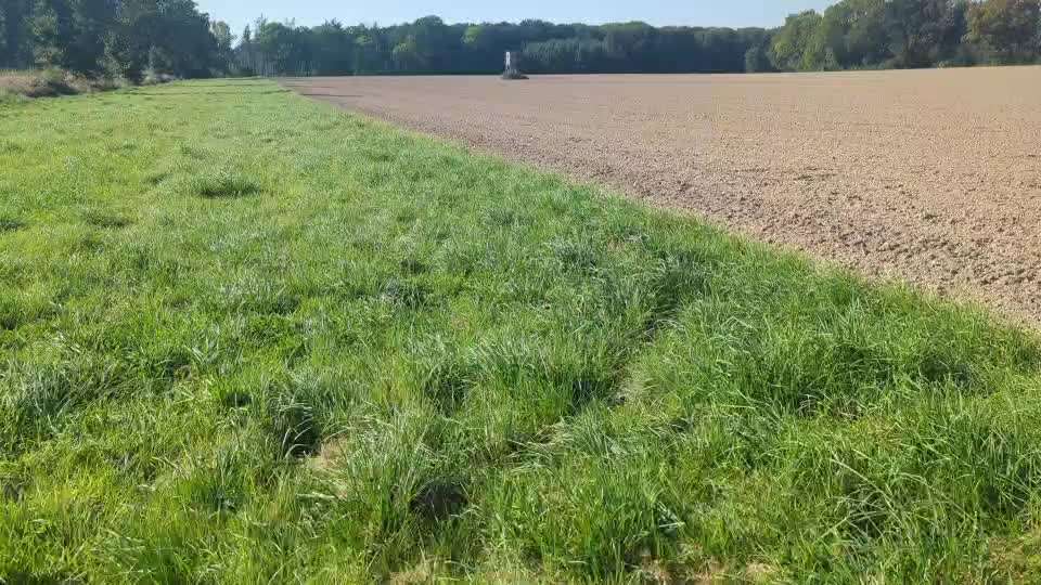 Wie trainiert ihr den Rückruf?-Beitrag-Bild