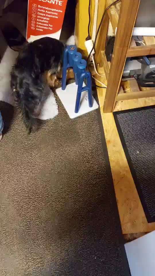 Beschäftigung und Ideen-Beitrag-Bild