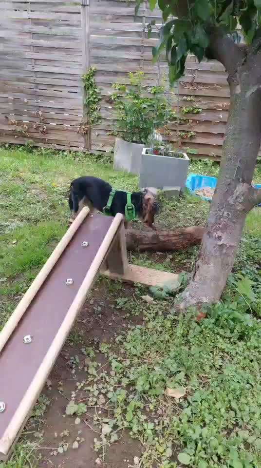 Verzicht oder doch Gewinn?-Beitrag-Bild