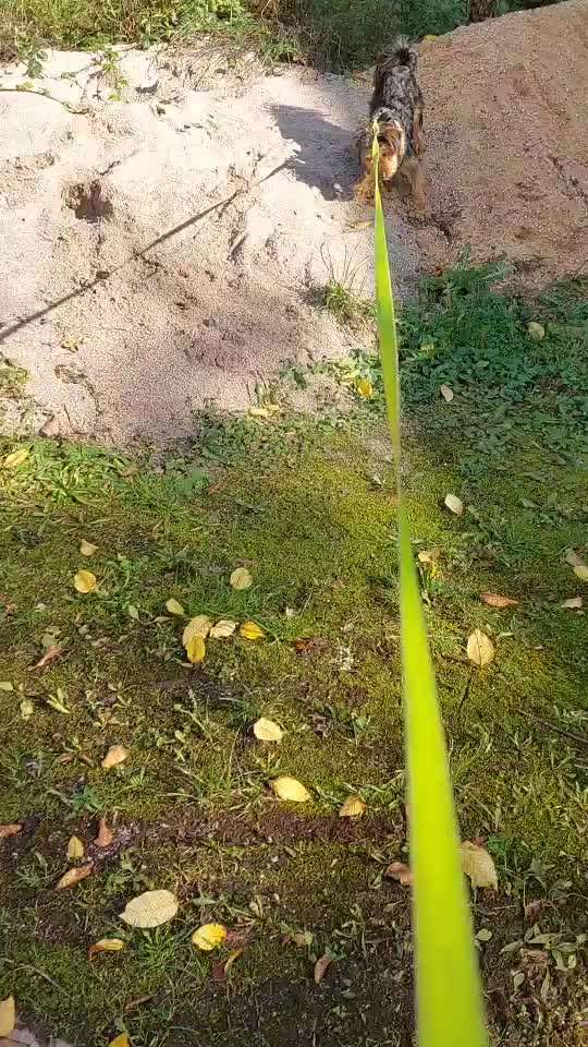 Beschäftigung und Ideen-Beitrag-Bild