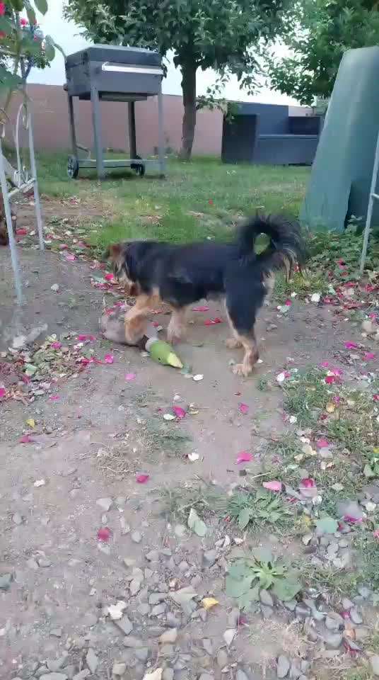 Verzicht oder doch Gewinn?-Beitrag-Bild