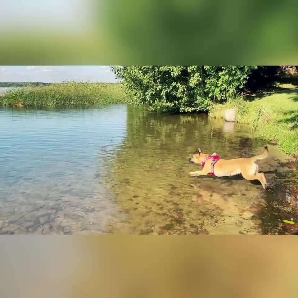 50. Video Challenge - Wasserscheu oder nicht-Beitrag-Bild