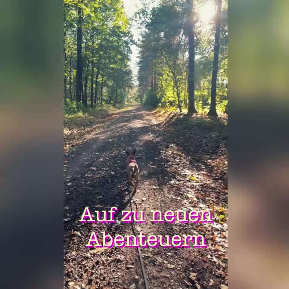 23. Kurzgeschichten - Auf zu neuen Abenteuern-Beitrag-Bild