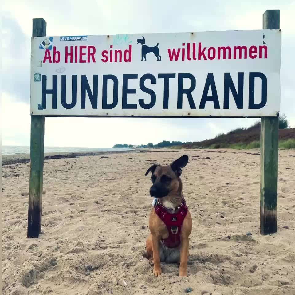 7. Kurzgeschichten Challenge: Spaziergang am Strand-Beitrag-Bild