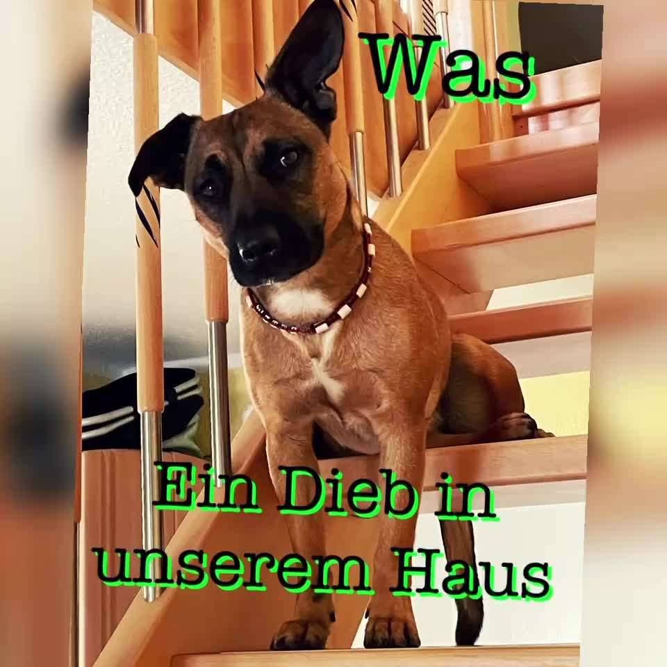 22. Kurzgeschichten Challenge: Crime-Beitrag-Bild