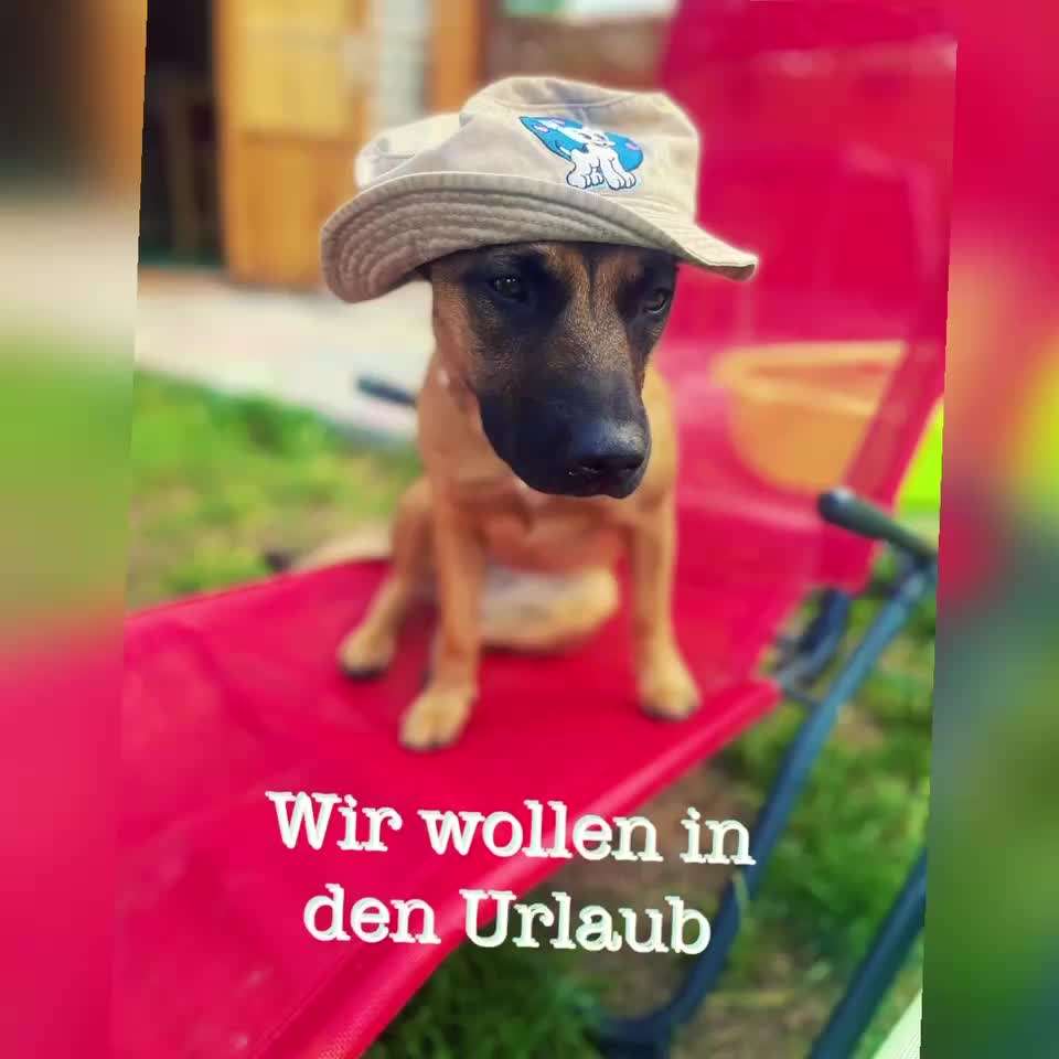 21. Kurzgeschichten Challenge - Urlaubserlebnisse-Beitrag-Bild