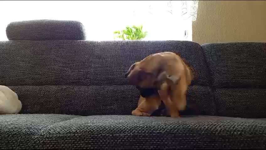 46. Video Challenge - Trainingserfolg-Beitrag-Bild